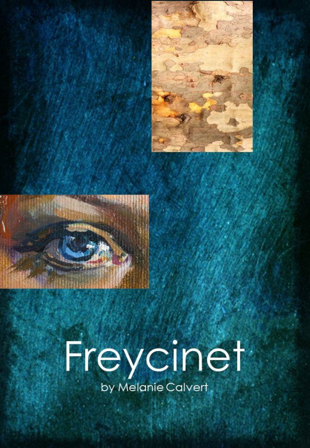 Freycinet cover