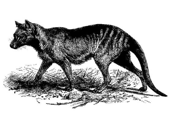 Scottsdale Library speech